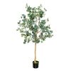 5.5 Feet Artificial Eucalyptus Tree with 517 Silver Dollar Leaves