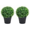 Artificial Boxwood Plants 2 pcs with Pots Ball Shaped Green 10.6"