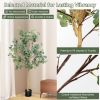 5.5 Feet Artificial Eucalyptus Tree with 517 Silver Dollar Leaves